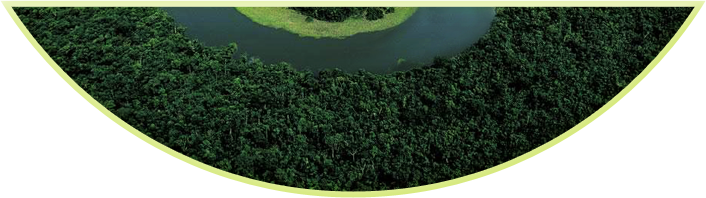 footer_reserve