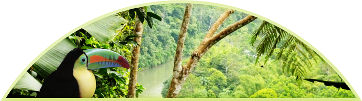 header_reservation