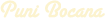 puni_bocana