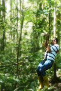 explore